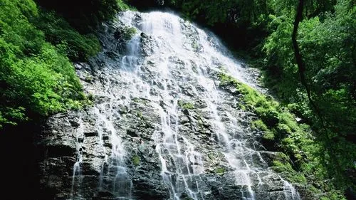 可靠性节能电子